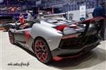 33673 Geneve 2016.jpg