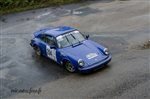 36846 Suran 2016.jpg