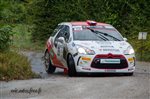 36924 Suran 2016.jpg