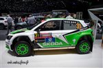 37860 Geneve 2017 Skoda WRC.jpg