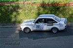 41769 Suran 2017.jpg
