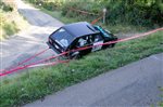 41809 Suran 2017.jpg