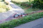 41810 Suran 2017.jpg