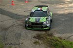 41854 Suran 2017.jpg