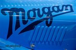 43243 Geneve 2018 Morgan.jpg