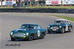 0343 Goodwood 2018.jpg