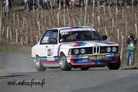 2225 Vignes Regnie 2019.jpg