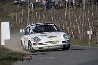 2240 Vignes Regnie 2019.jpg