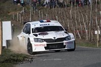 2256 Vignes Regnie 2019.jpg