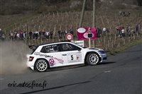 2266 Vignes Regnie 2019.jpg