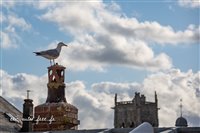 16124 Dieppe 100 ans Redele.jpg