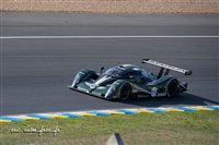 17405 Mans 2022.jpg