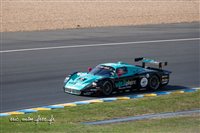 17459 Mans 2022.jpg