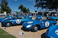 17537 Mans 2022.jpg