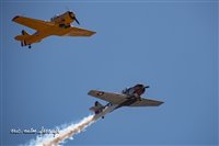 17865 Mans 2022.jpg