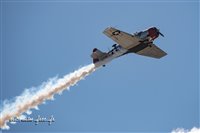 17872 Mans 2022.jpg