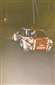 80 Tour Auto Mouton