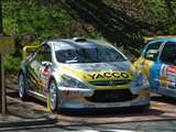 GROSSET JANIN Jerome Fabrice GORDON Peugeot 307 WRC